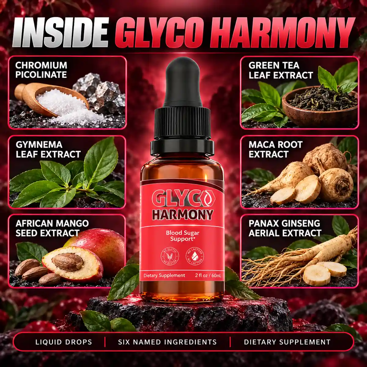 Glyco Harmony artwork illustrating the article